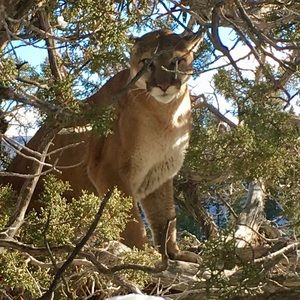 Meet your Posher, Janet